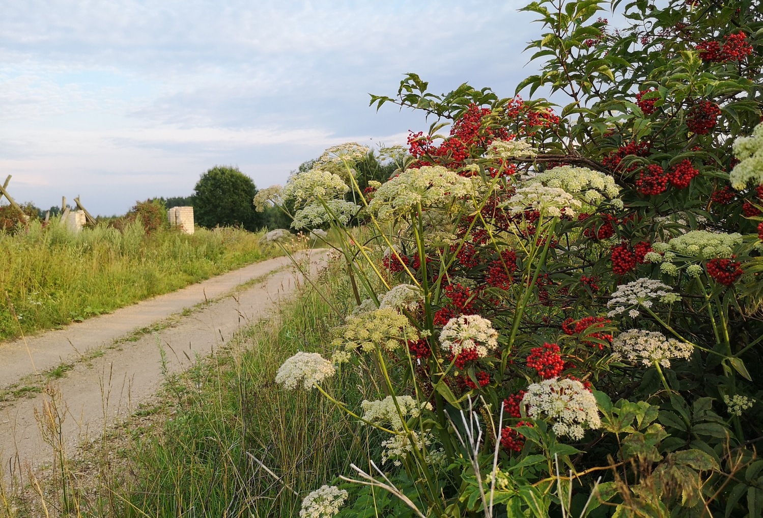 <span style="font-weight: bold;">Life in Russian Village</span>
